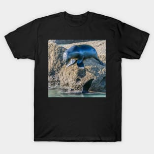 Seals at Play T-Shirt